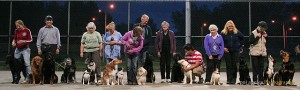 all of the dogs outside Richmond
