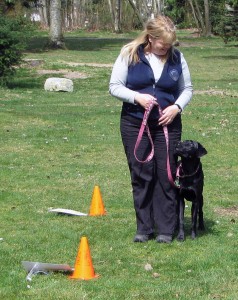 donna blossom stand(1)